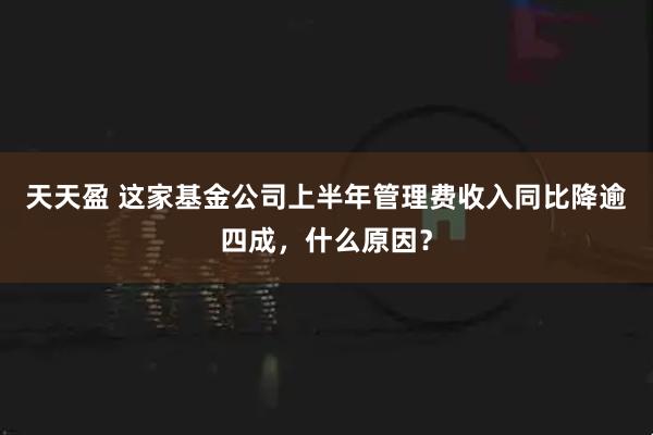 天天盈 这家基金公司上半年管理费收入同比降逾四成，什么原因？