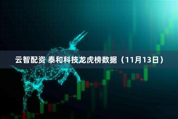 云智配资 泰和科技龙虎榜数据（11月13日）